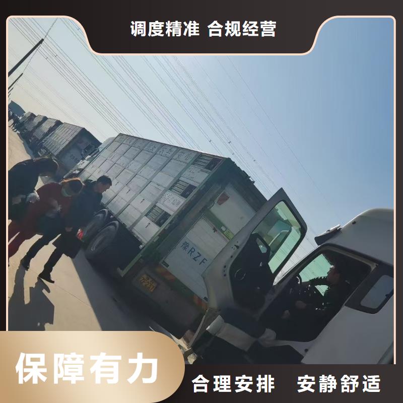 平頂山到黑龍江仔豬空調(diào)車(chē)運(yùn)輸實(shí)力雄厚