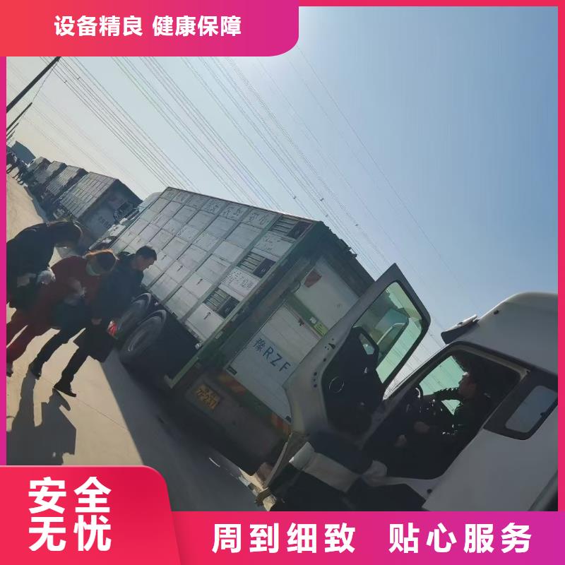 宿遷市沭陽到泰安二育運(yùn)輸按時到達(dá)