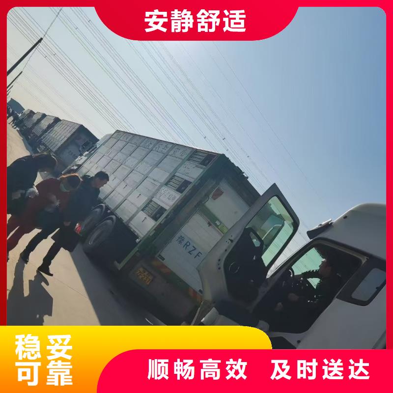 驻马店到上城生猪恒温车运输保障完备