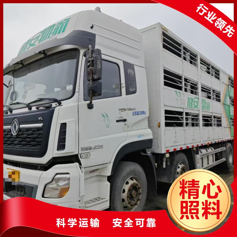 宿迁市沭阳到焦作仔猪恒温车运输管理规范