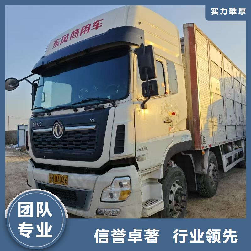 宿遷市到南陽種豬運輸細致入微