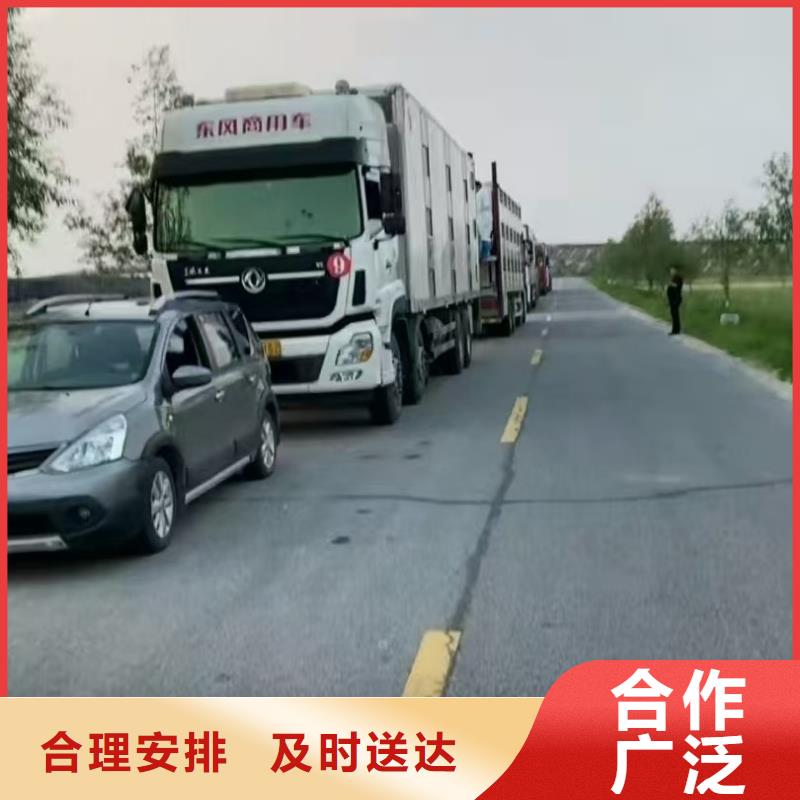 宿遷市泗陽到青島種豬運(yùn)輸體系完善