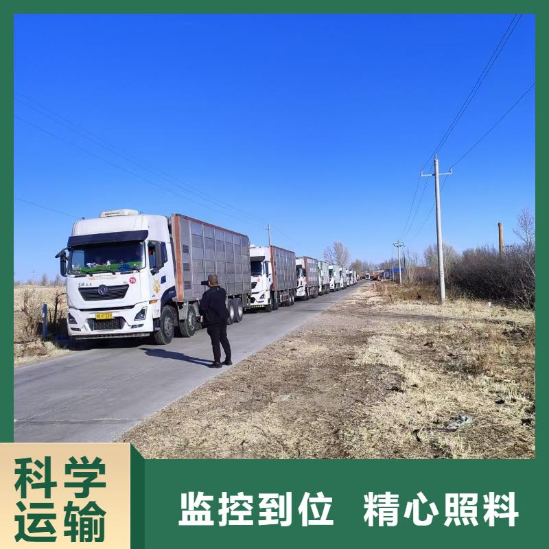宿遷市到豬運(yùn)輸應(yīng)急高品質(zhì)現(xiàn)貨銷(xiāo)售