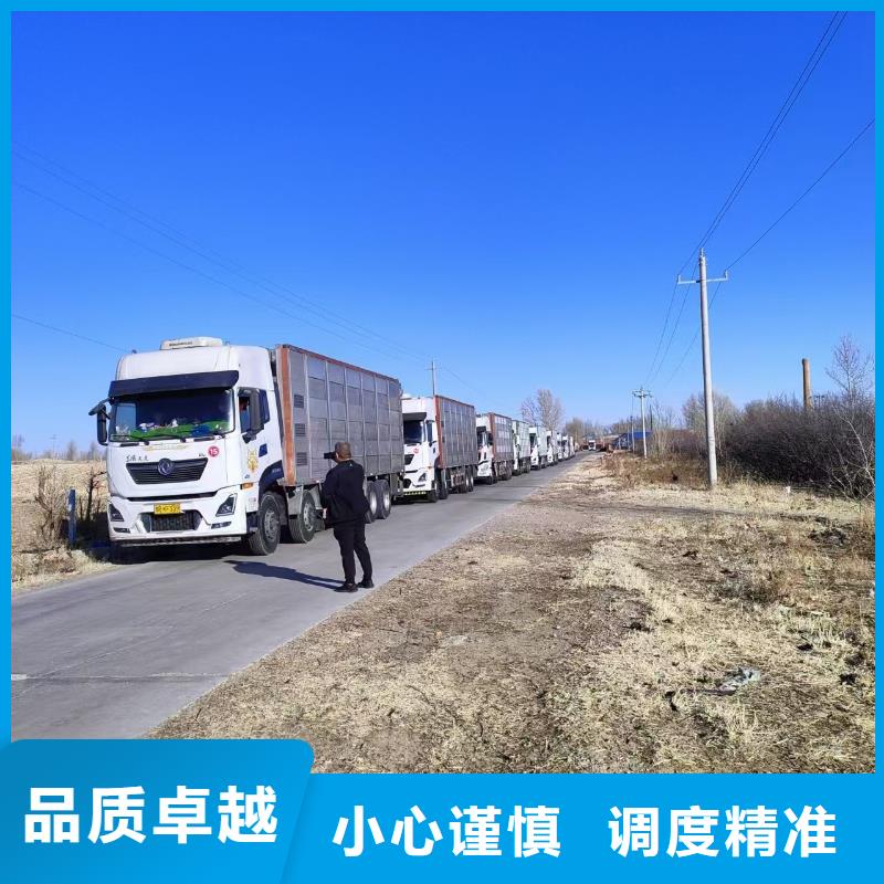 宿遷市沭陽到新鄉(xiāng)活禽物流路線優(yōu)化