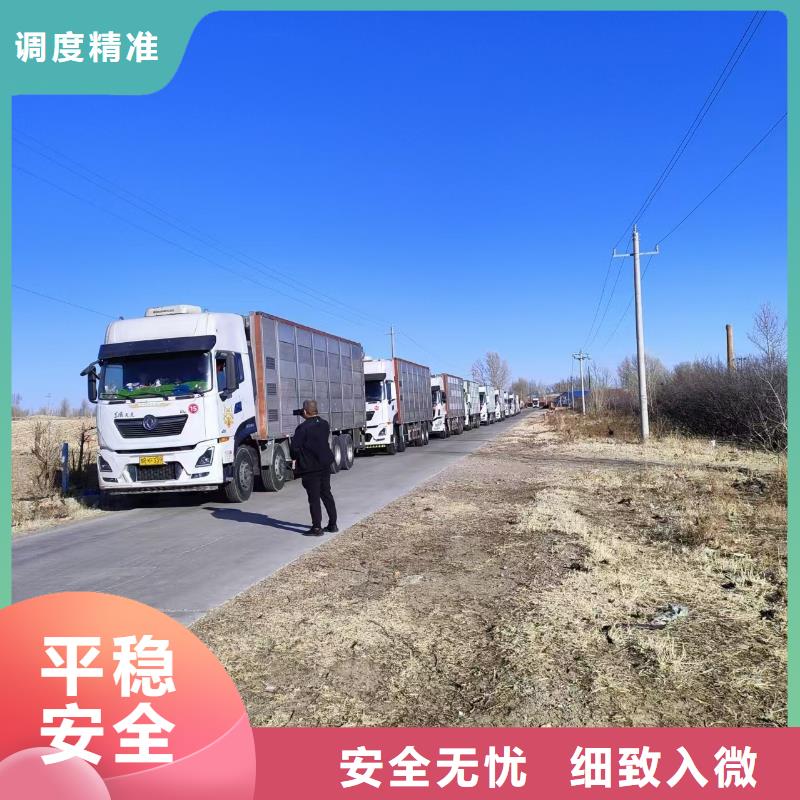 无锡到驻马店生猪恒温车运输【持证运输】