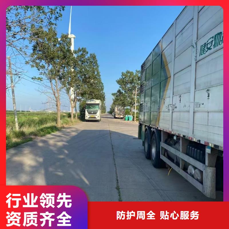 商丘到株洲猪只运输专用车技术先进