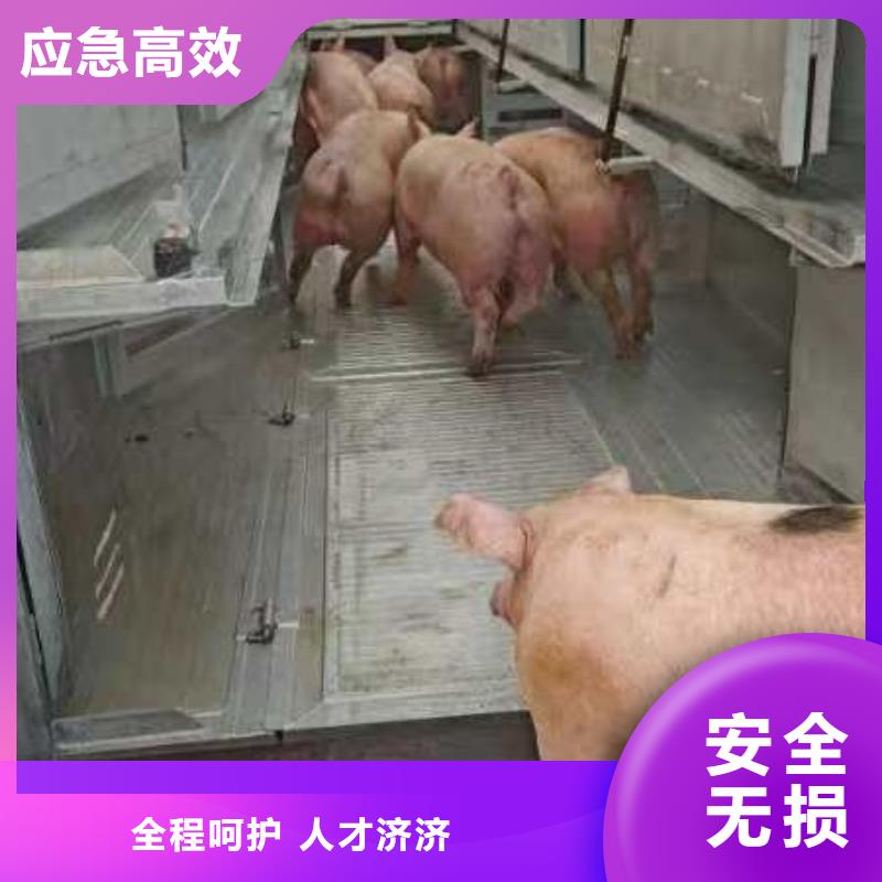 常州到楚雄畜禽物流温区稳定