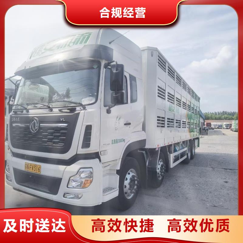 宿遷市到種豬恒溫車運(yùn)輸合理質(zhì)量優(yōu)選