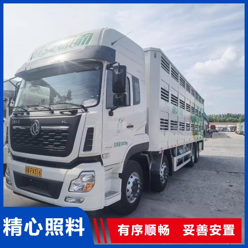 淄博到宜宾牛运输无损