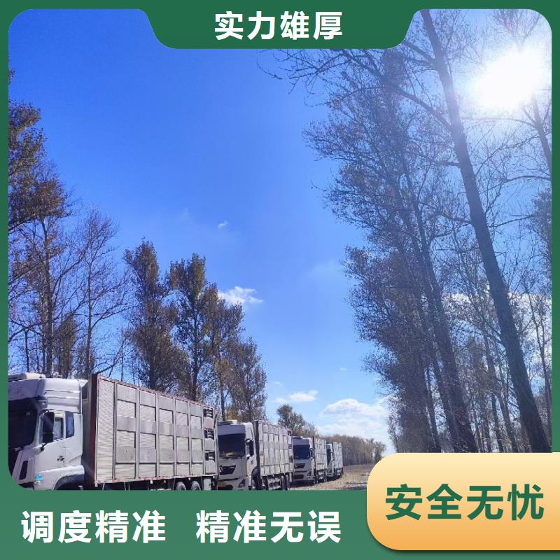 宿遷市到安徽牲畜運輸路線優(yōu)化
