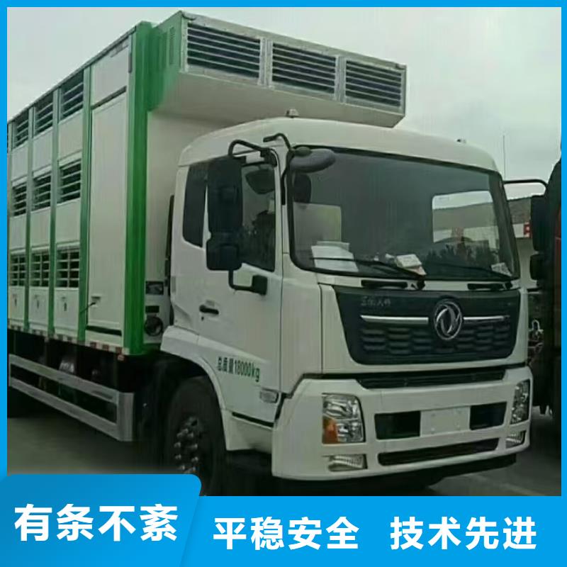 商丘到驻马店种猪空调车运输经验丰富