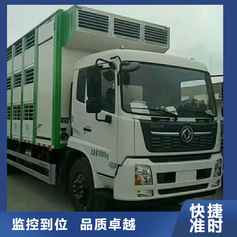 滁州到商丘种猪运输团队专业