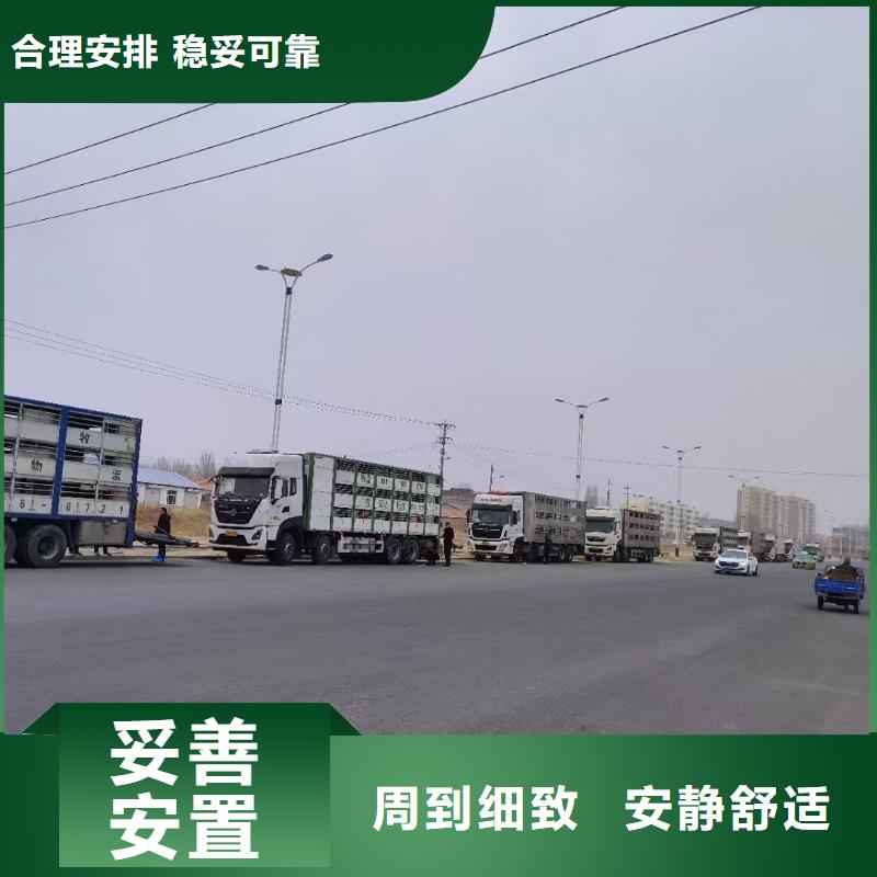 宿遷到臨沂空調(diào)車運輸行業(yè)領(lǐng)先