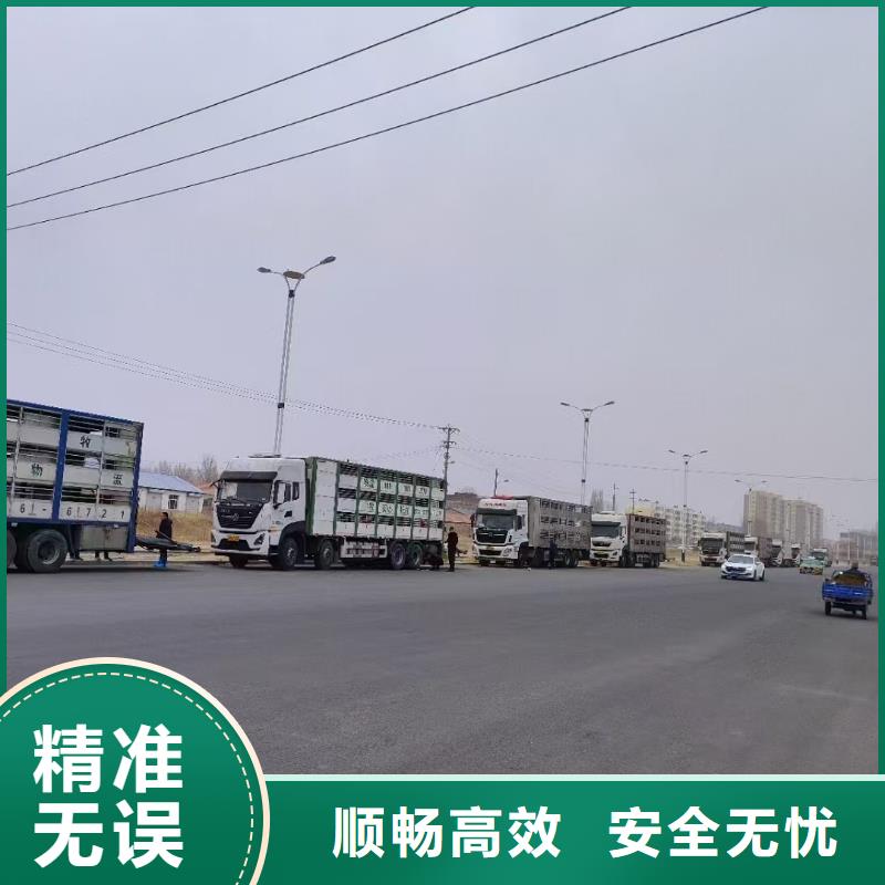 宿遷市沭陽到畜禽運輸行業(yè)領先本地生產(chǎn)廠家
