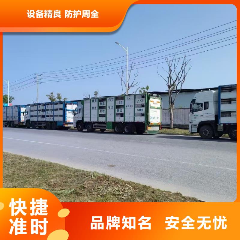 苏州到楚雄空调车运输活体押运