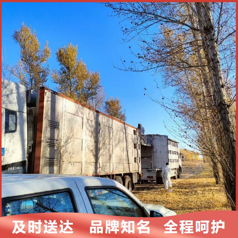 宿遷市泗陽(yáng)到空調(diào)車(chē)運(yùn)輸規(guī)模宏大專(zhuān)注質(zhì)量
