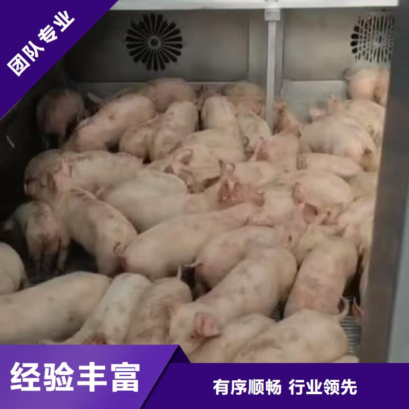 嘉兴至忻州种猪运输【全封闭车厢】?