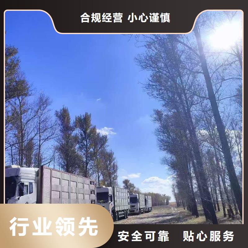 宿遷市到金華牛運輸專用車放心省心