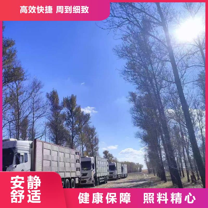 威海至怀化生猪运输【绿色通道】?