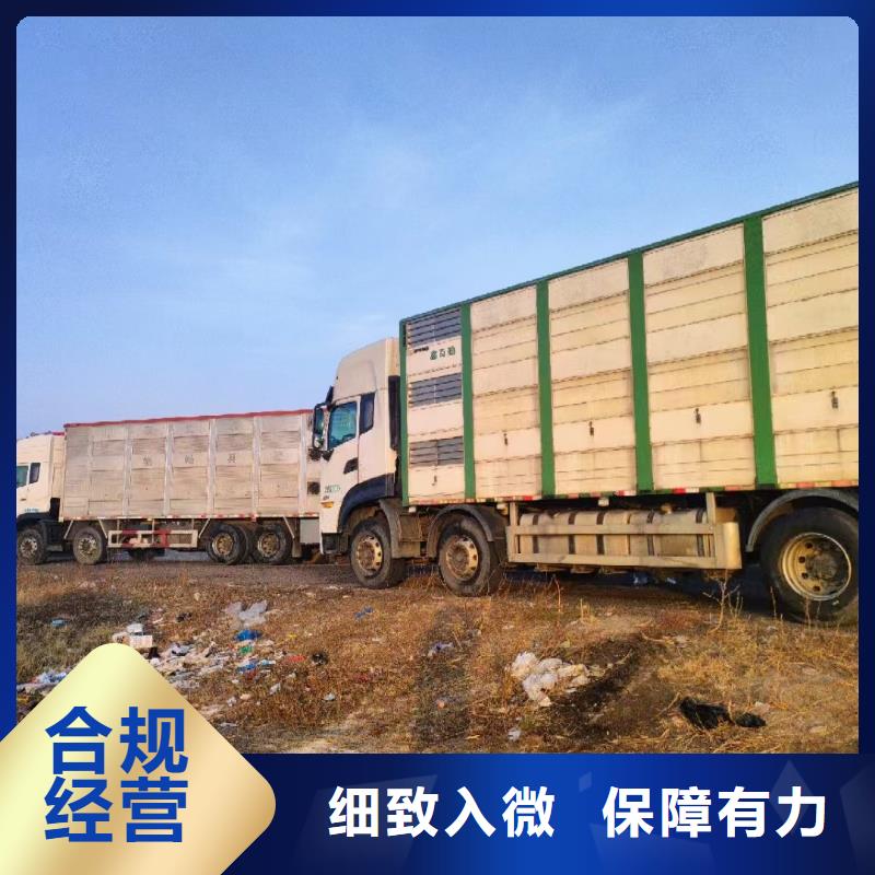 宿遷到豬只運輸專用車可靠價格透明