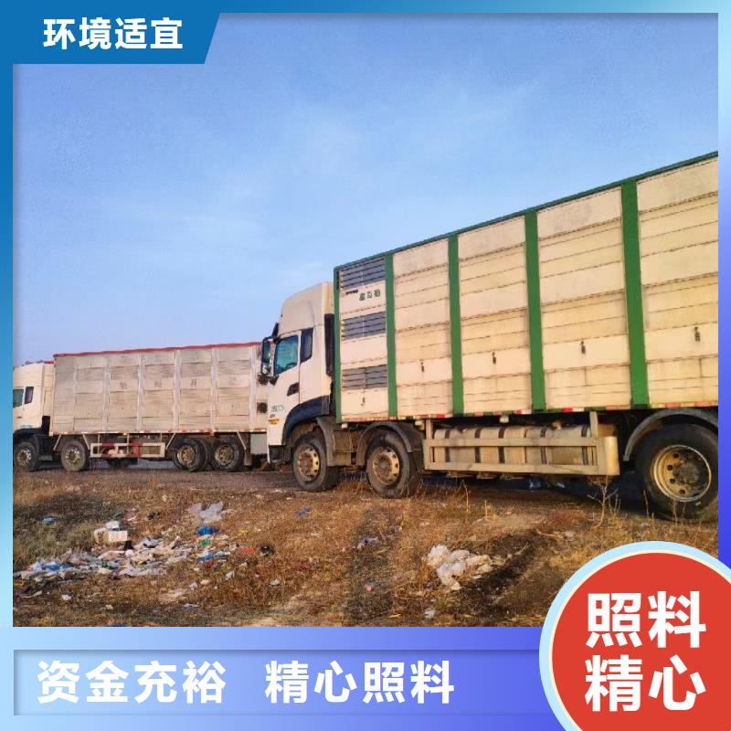 嘉兴到运城生猪恒温车运输有序顺畅