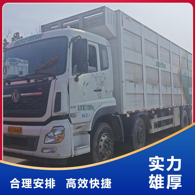 连云港到焦作种猪运输温区稳定