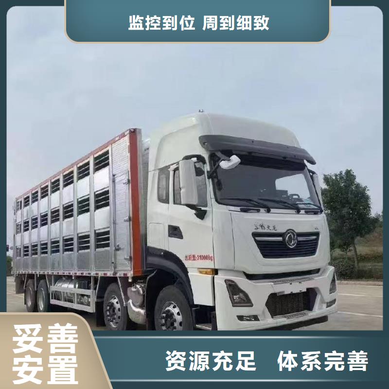宿遷市泗陽到南京種豬空調(diào)車運(yùn)輸團(tuán)隊(duì)專業(yè)