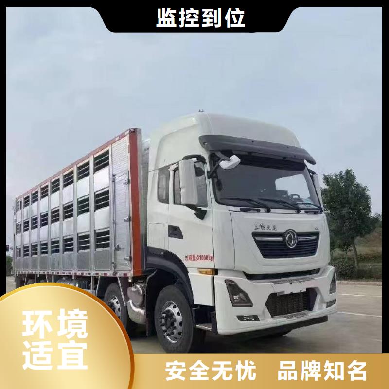 宿遷到安徽畜禽運輸車型豐富
