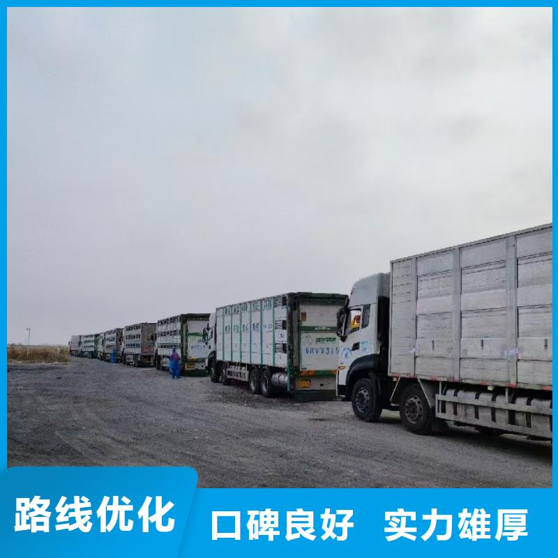宿遷市泗陽到漯河畜禽物流網(wǎng)絡(luò)廣泛