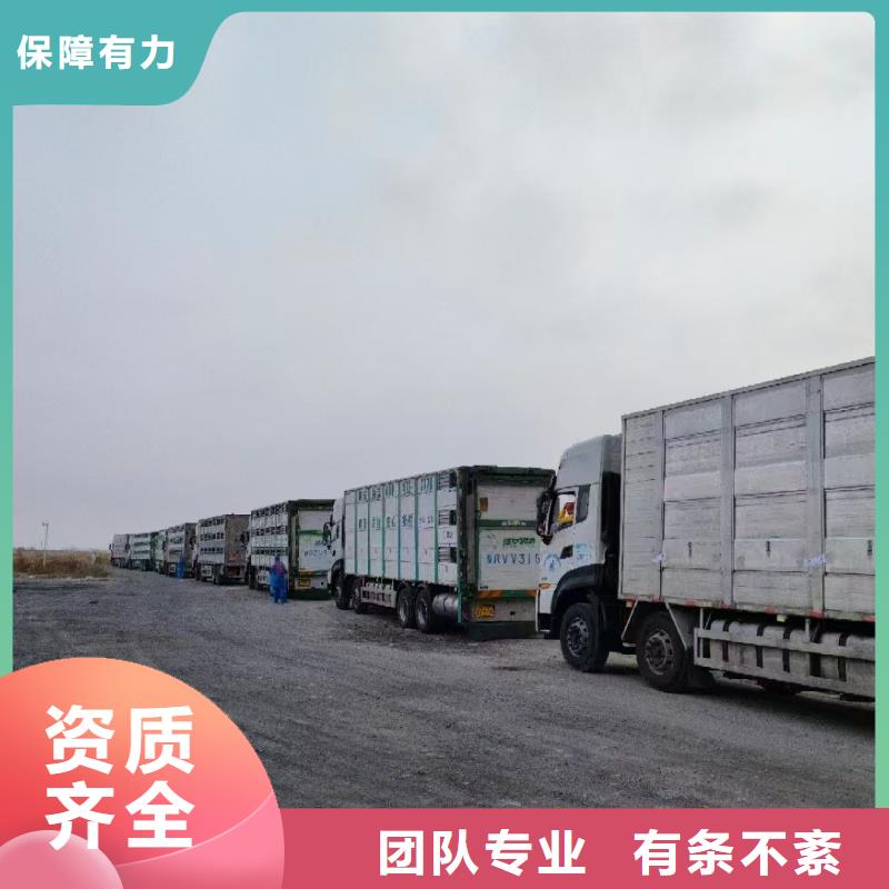 宿遷市到巢湖牛運輸專用車按時到達