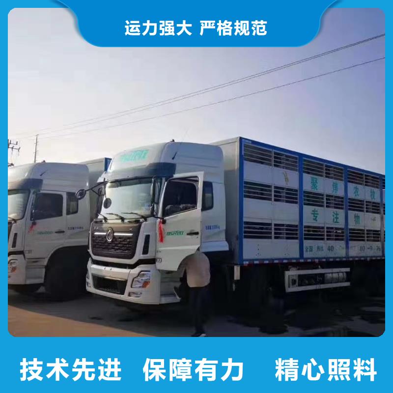 宿遷泗陽到活禽運輸當?shù)仄放?></div>
				<h3>宿遷泗陽到活禽運輸當?shù)仄放?/h3>  
				<div   id=