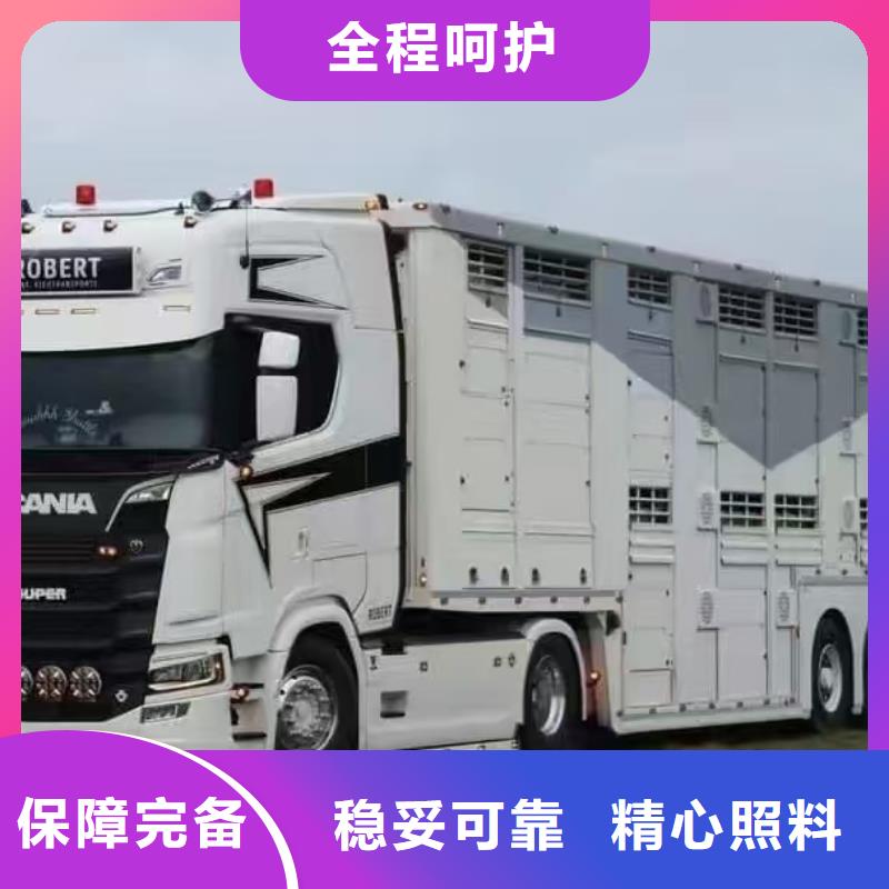 宿遷市到豬只運輸專用車整車運輸本地生產(chǎn)商