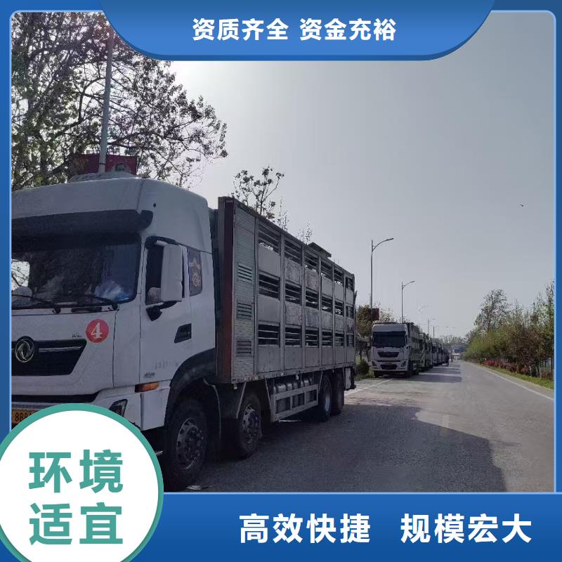 宿遷市沭陽到杭州散裝料專用車監(jiān)控到位