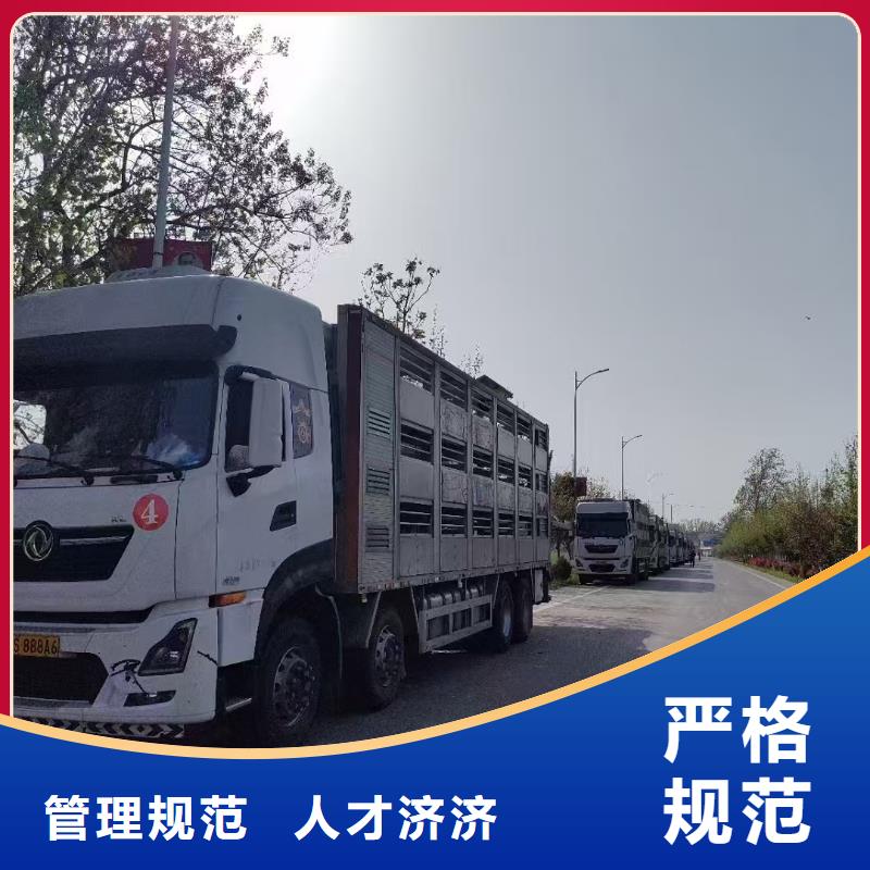 济宁到深圳散装料专用车安静舒适