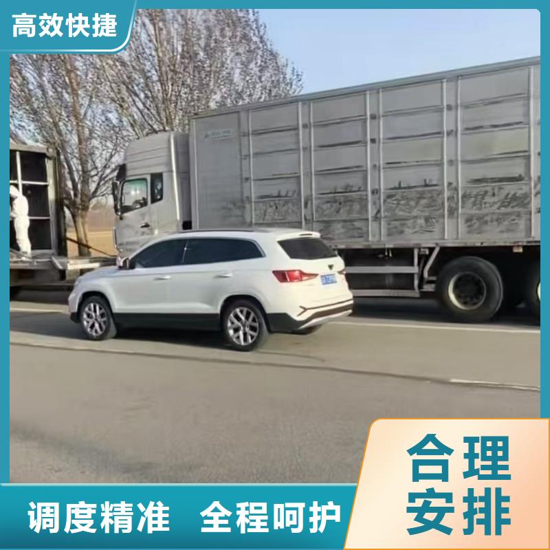 徐州到焦作恒温车运输防挤压碰撞