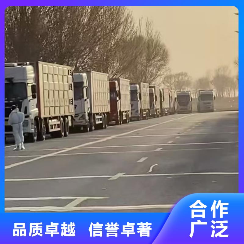 宿遷市泗陽(yáng)到濰坊生豬物流按時(shí)到達(dá)