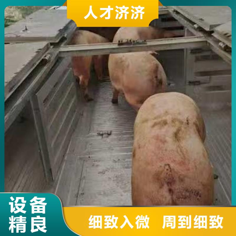 宿遷到豬籠車物流快速直達(dá)擁有核心技術(shù)優(yōu)勢