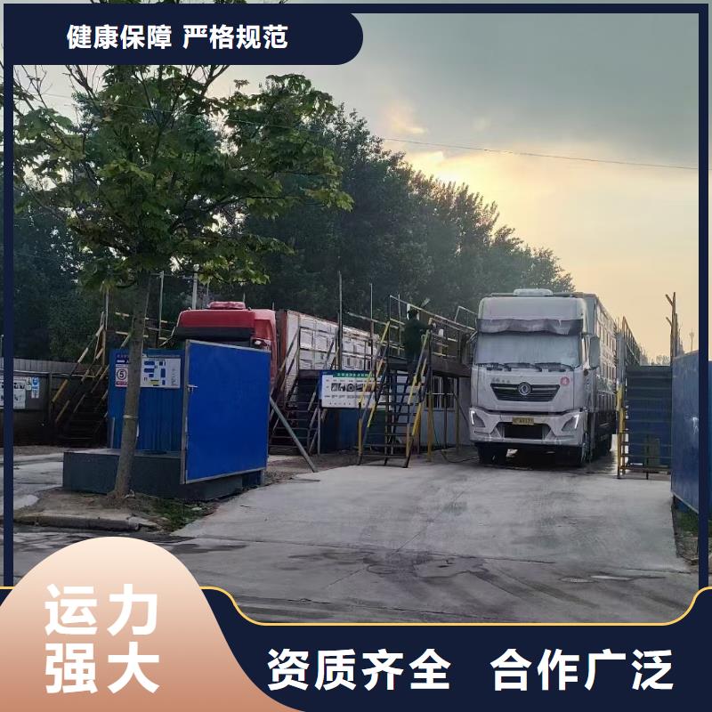 宿遷到馬鞍山活禽物流及時(shí)送達(dá)
