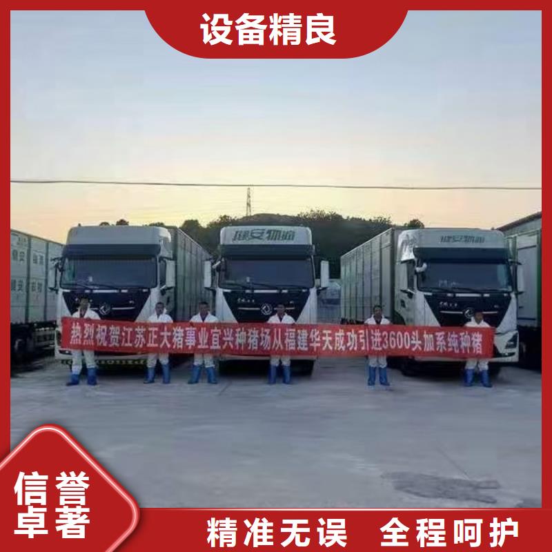 安庆到东莞羊运输专用车口碑良好