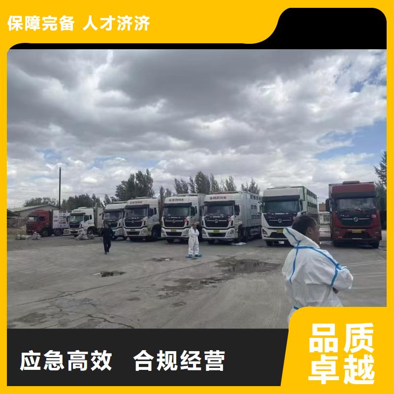宿遷市泗洪到種豬空調(diào)車運(yùn)輸細(xì)致入微同城生產(chǎn)廠家
