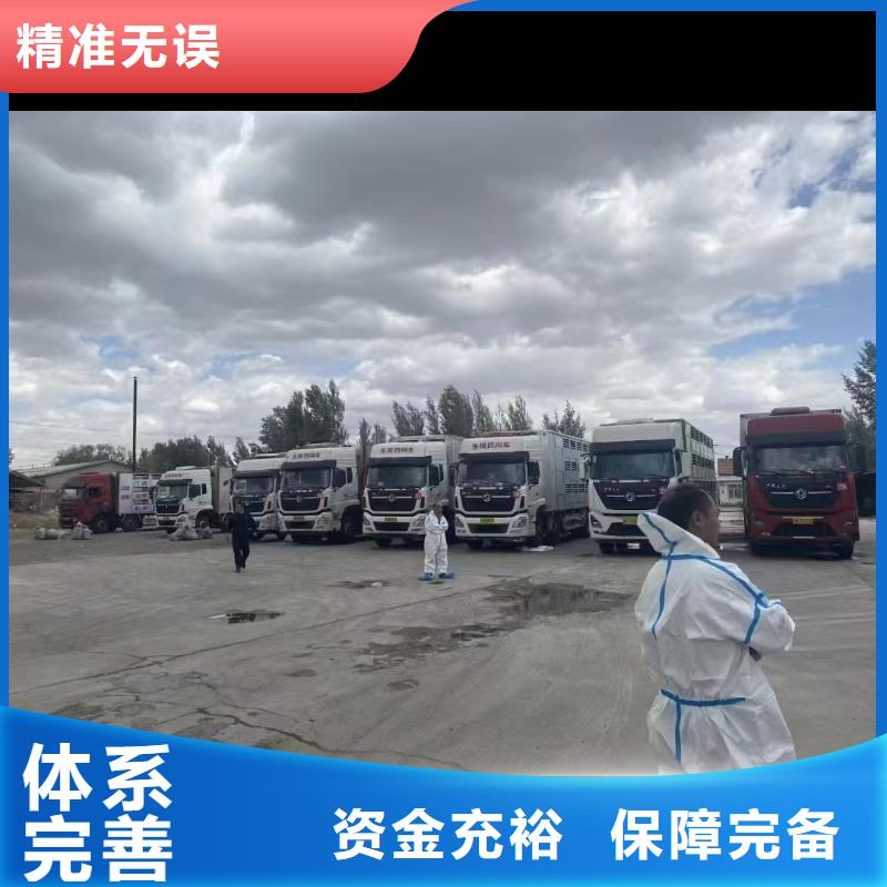 宿遷市沭陽(yáng)到豬籠車(chē)運(yùn)輸科學(xué)運(yùn)輸實(shí)力見(jiàn)證