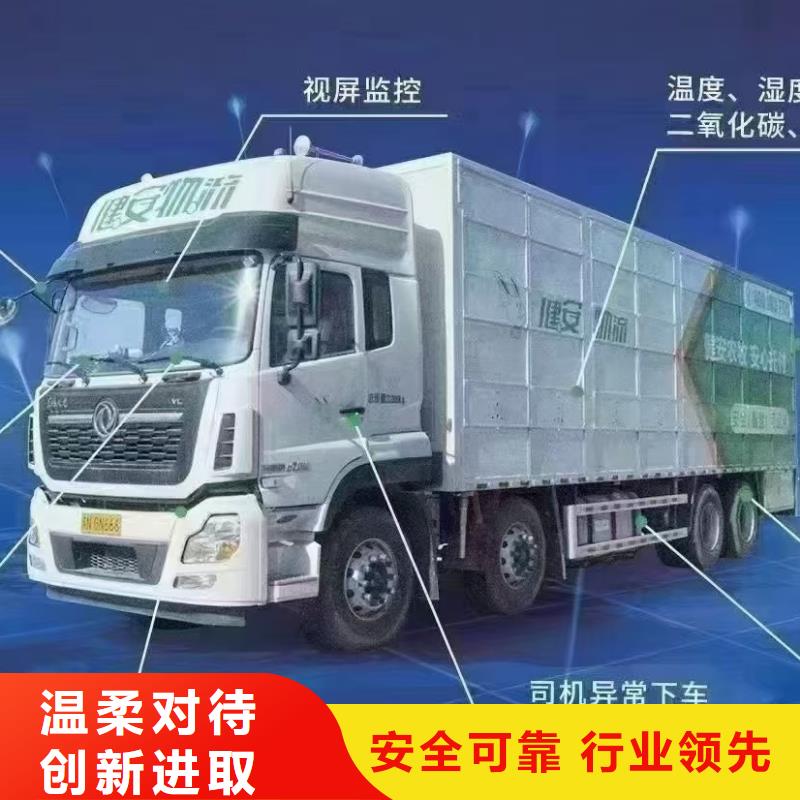 宿迁市泗洪到六安活禽物流整车