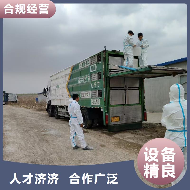 安庆到怀化活禽运输【快速通关】?