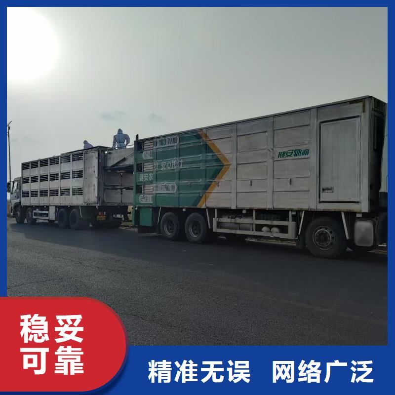 宿遷市沭陽到活禽物流網(wǎng)絡廣泛正規(guī)廠家