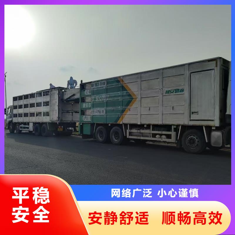 郑州到南通猪只运输专用车可靠