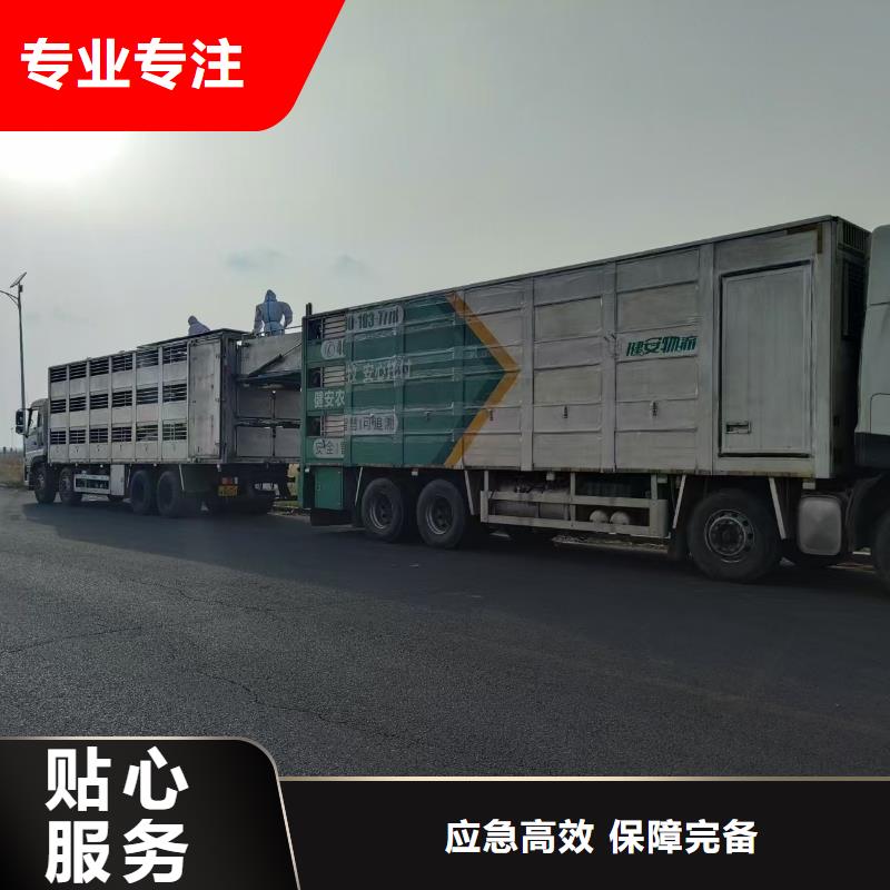 宿遷市沭陽到焦作生豬恒溫車運輸自家車輛