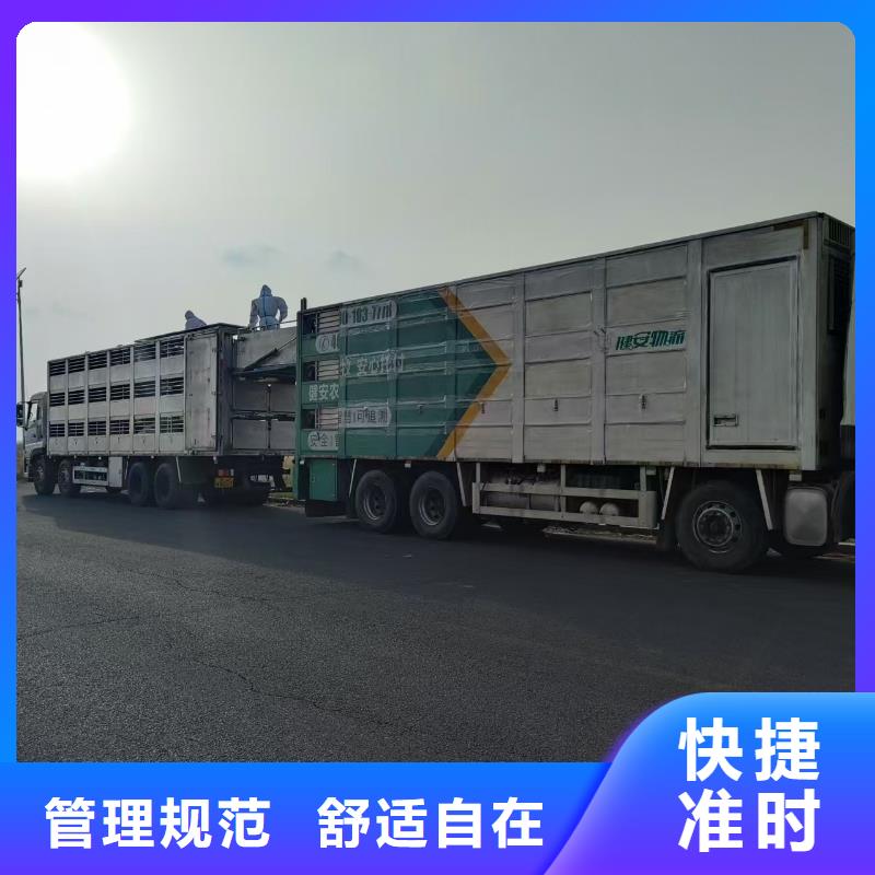 宿遷市到安慶活禽物流天天發(fā)車