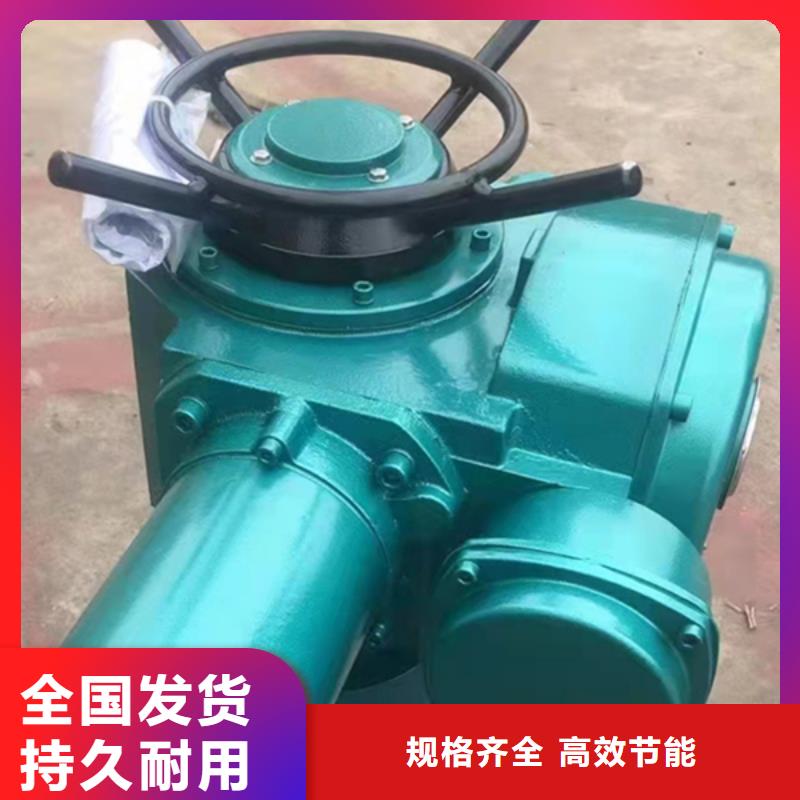 閘門(mén)啟閉機(jī)核心技術(shù)本地服務(wù)商