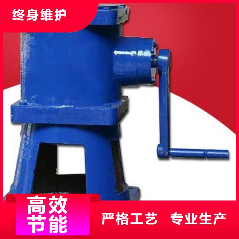 侧摇式螺杆启闭机合理行业优选