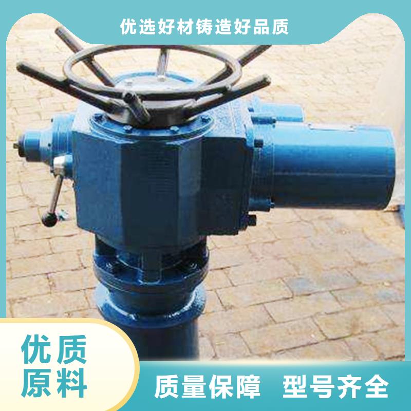 手動啟閉機精選優(yōu)質(zhì)材料本地品牌